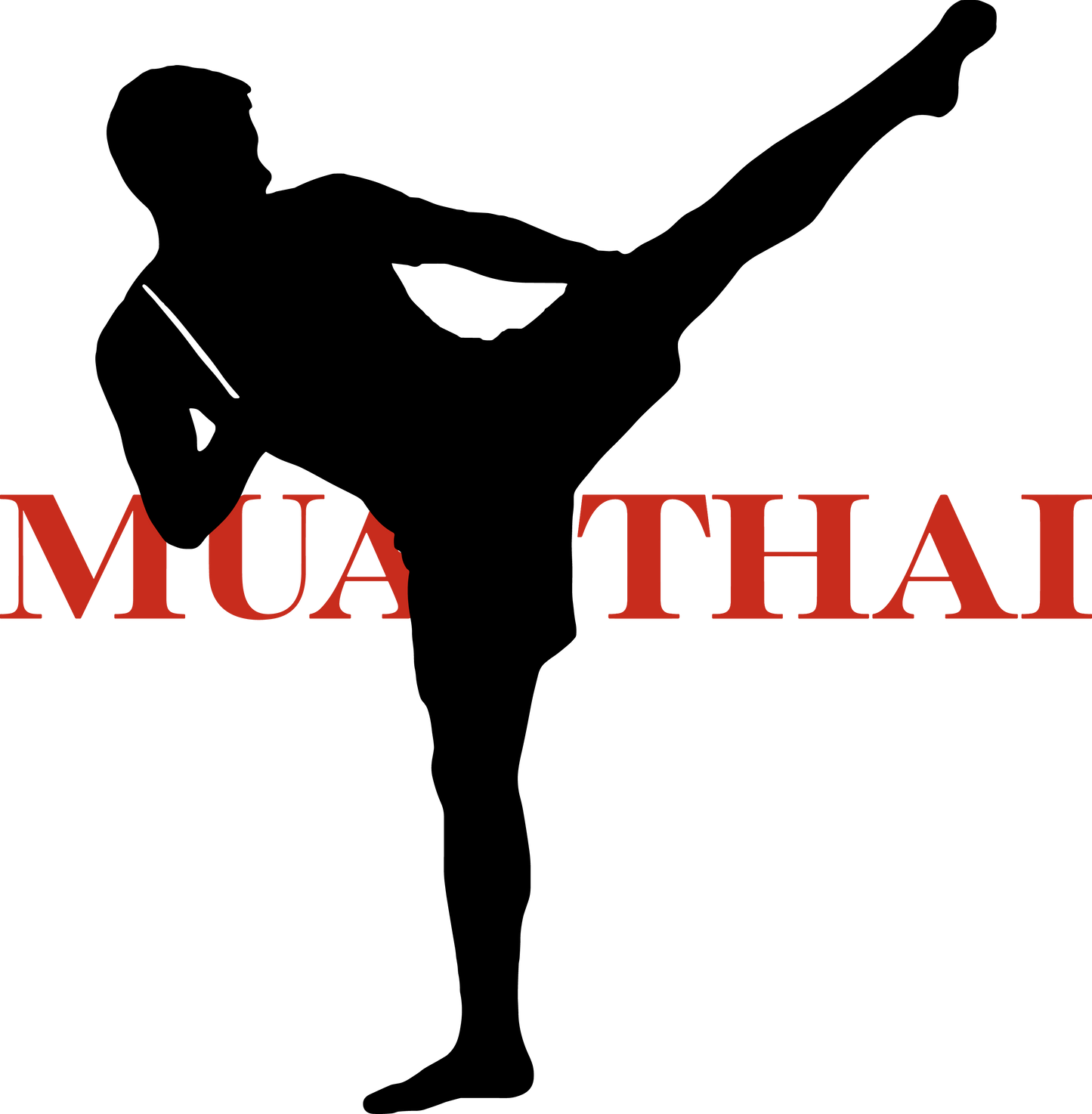 【SHIN_CHANNEL】MUAYTHAI_ドライTシャツ_3