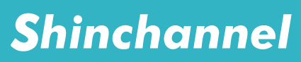 【SHIN_CHANNEL】プルオーバーパーカー_BOXLOGO_blue