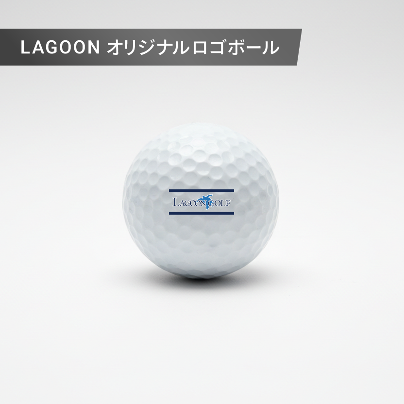 【LagoonGolf】ゴルフボール　STW_LINE【1ダース】