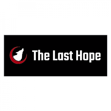 ソフトタッチフェイスタオル【The_Last_Hope柄2】