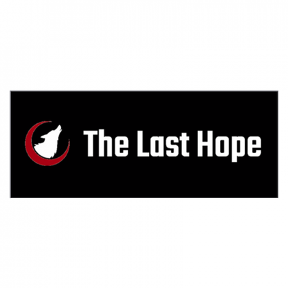 ソフトタッチフェイスタオル【The_Last_Hope柄2】